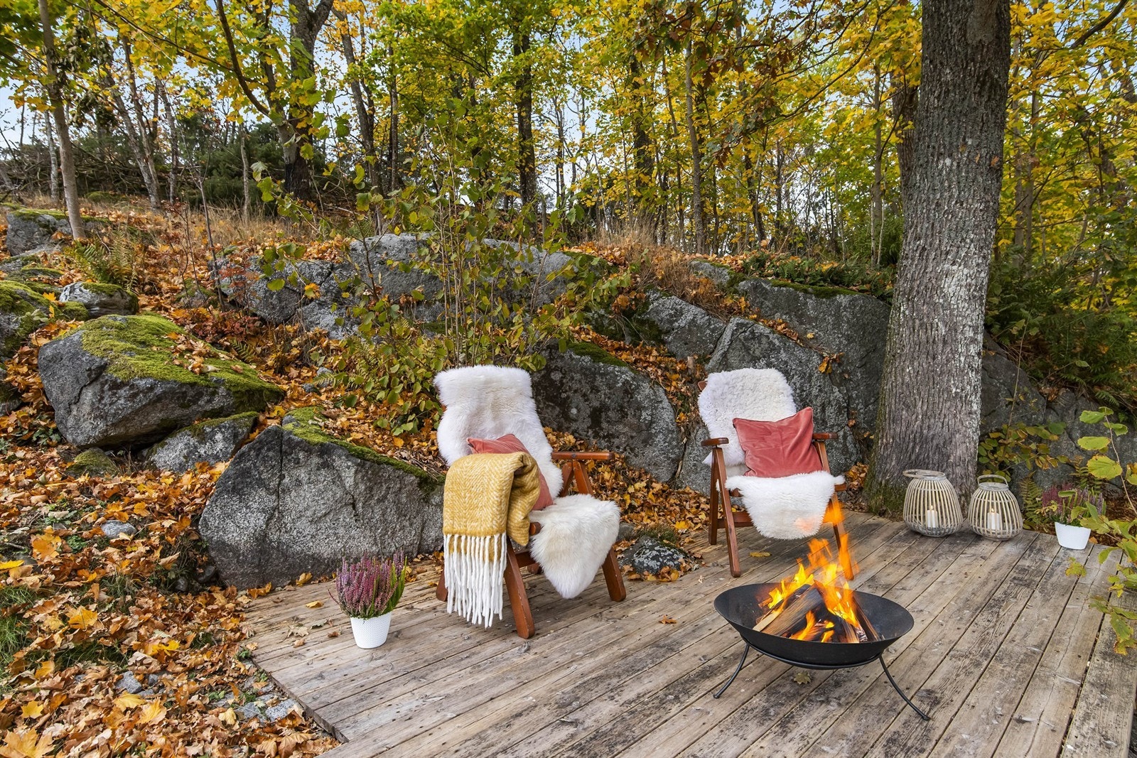 Tomt/uteplass Galleribilde