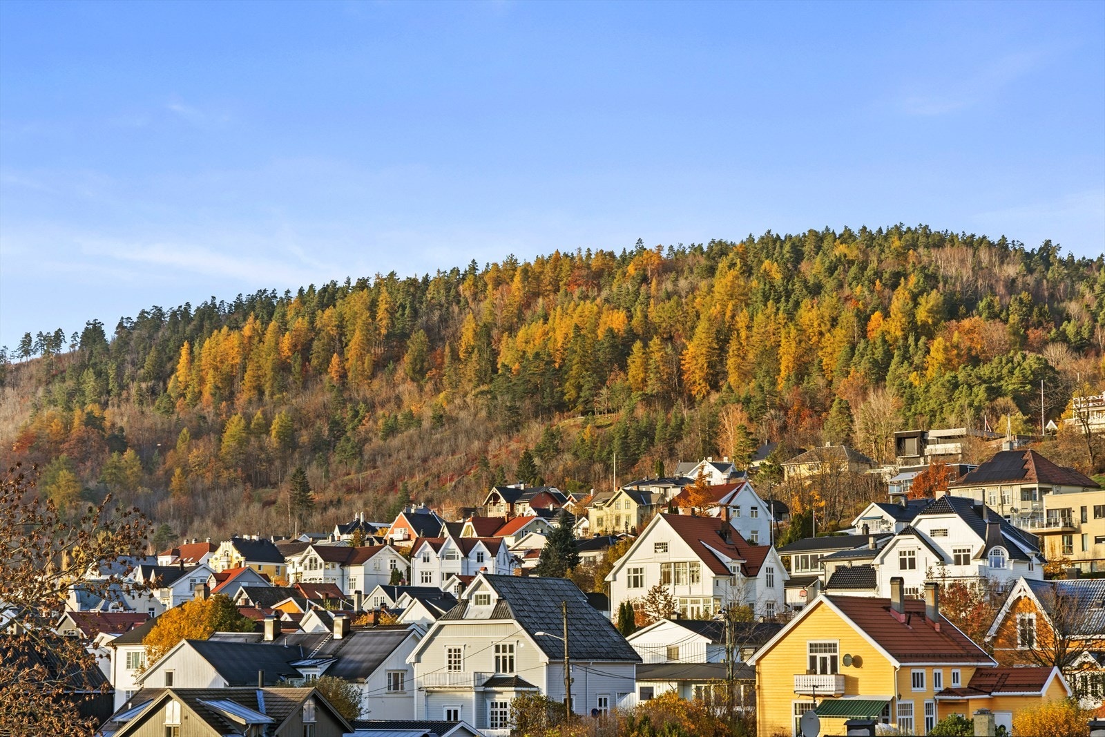 Utsikt - få minutters gange fra Bragernesåsen Galleribilde