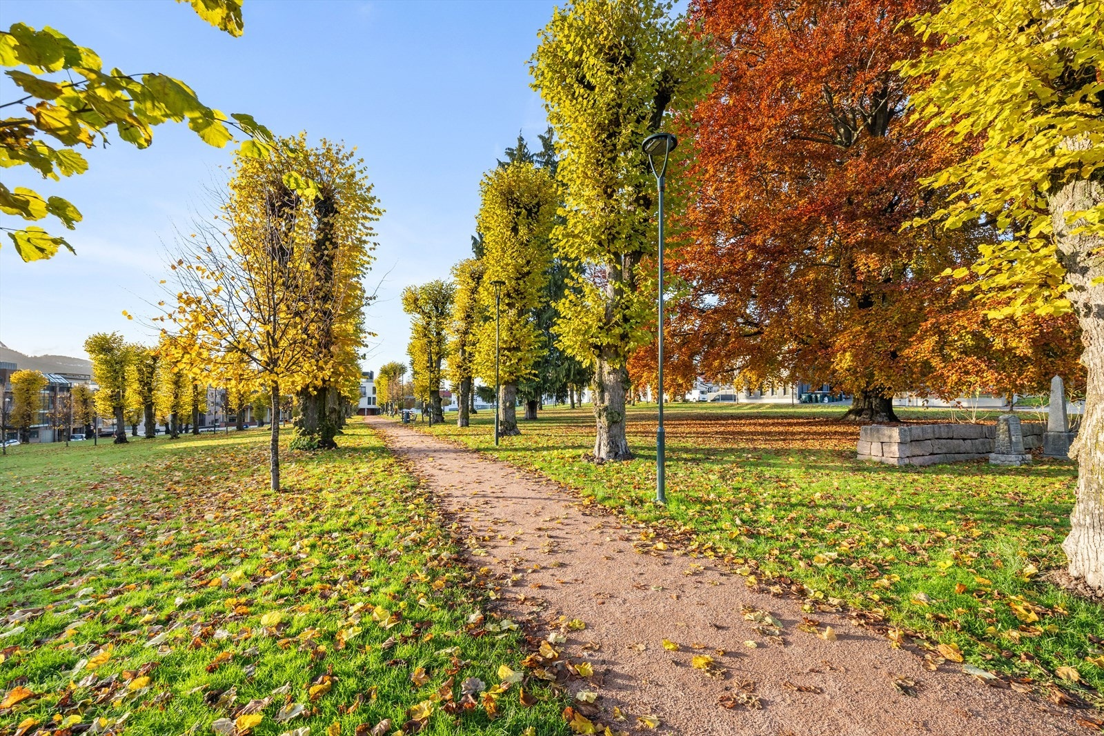 Engene park Galleribilde