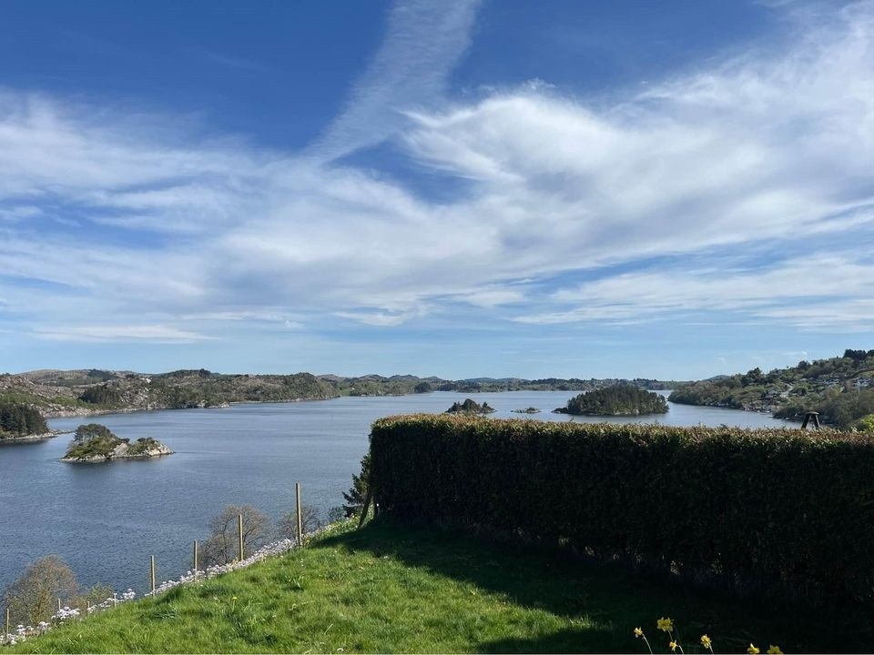 Utsikt mot sør. Jeg bor selv på andre siden av hekken. Det er tomannsbolig, men vi har privatliv i hagene våre :) Galleribilde