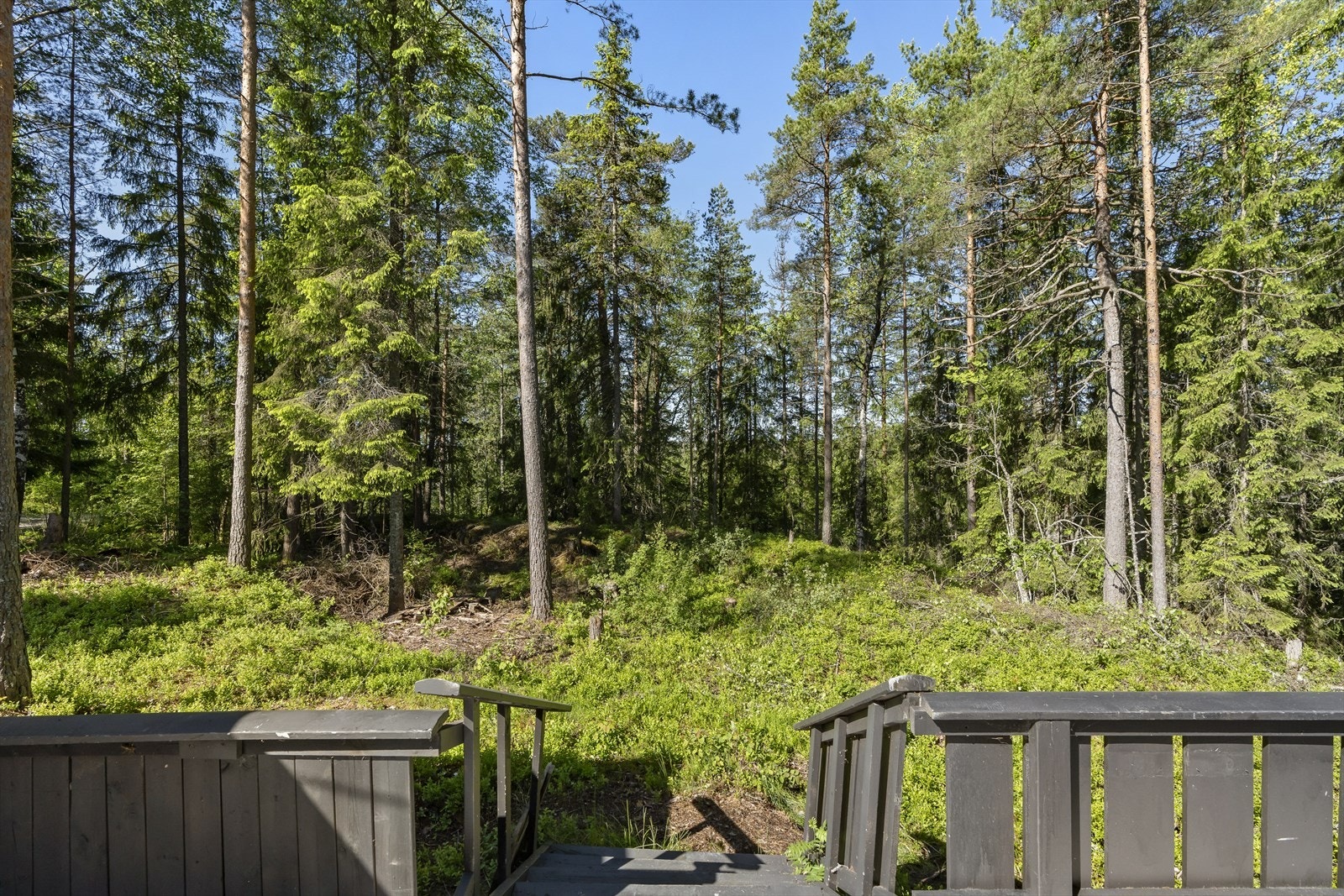 Terrasse Galleribilde