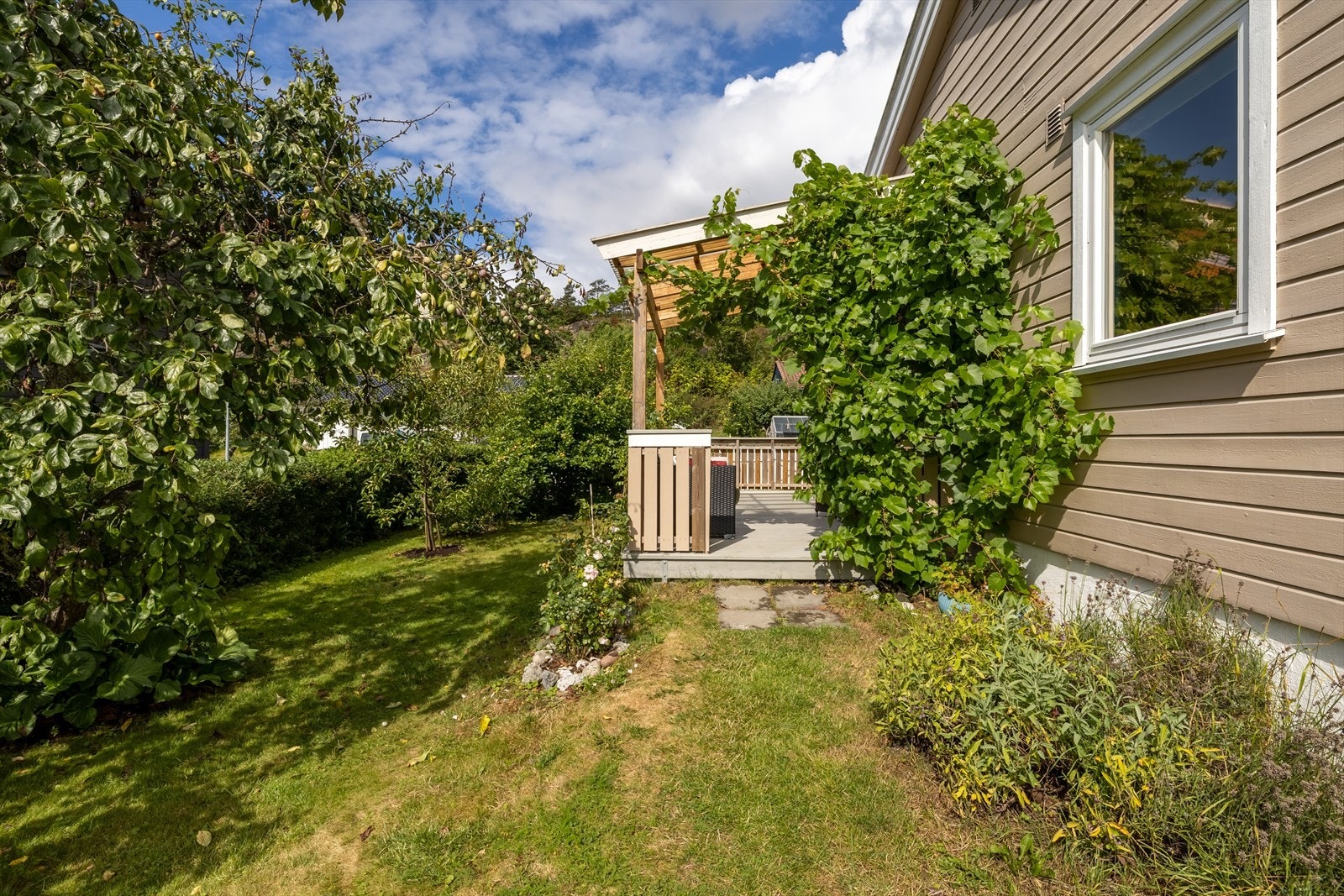 Her vil store og små stortrives i en frodig, solrik hage Galleribilde