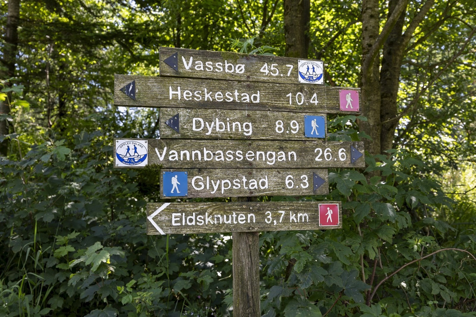 Fine turmuligheter i nærområdet. Galleribilde