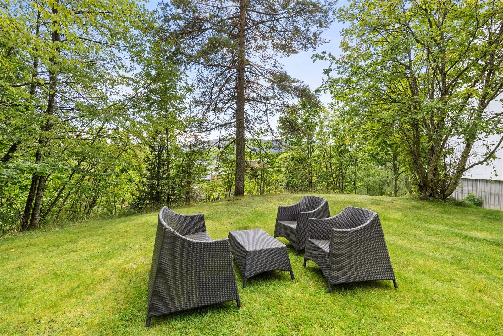 Fellesområder Galleribilde