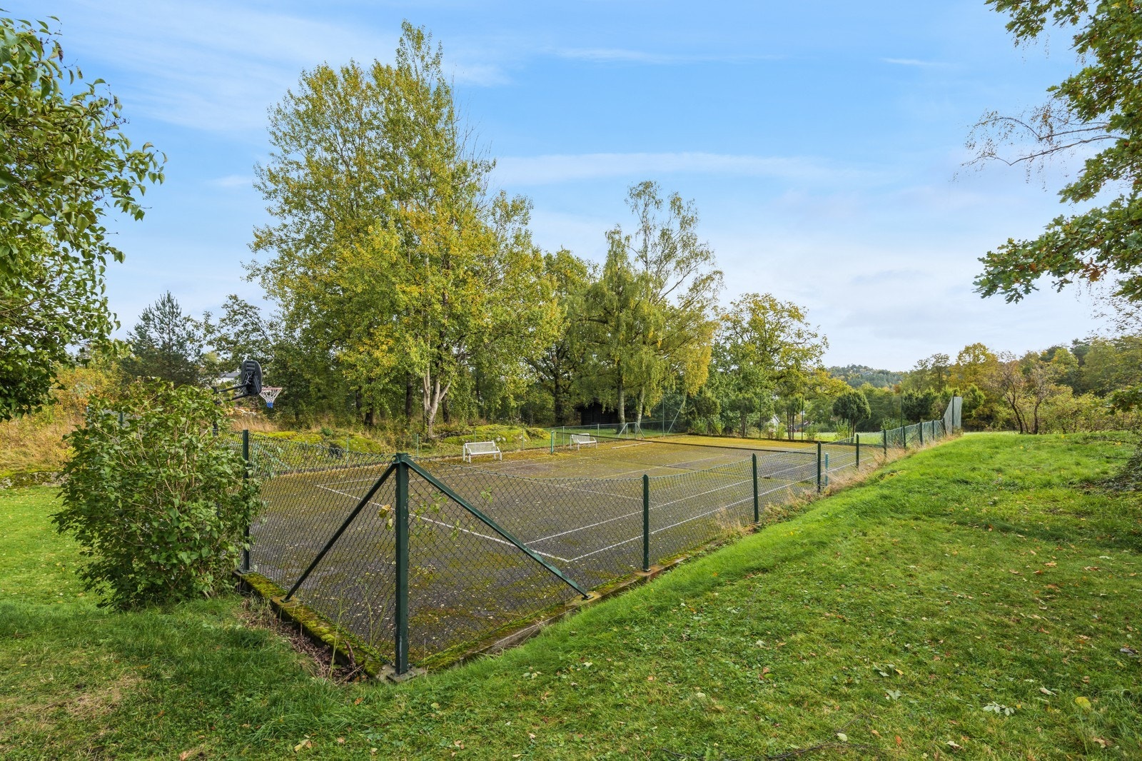 Tennisbane Galleribilde