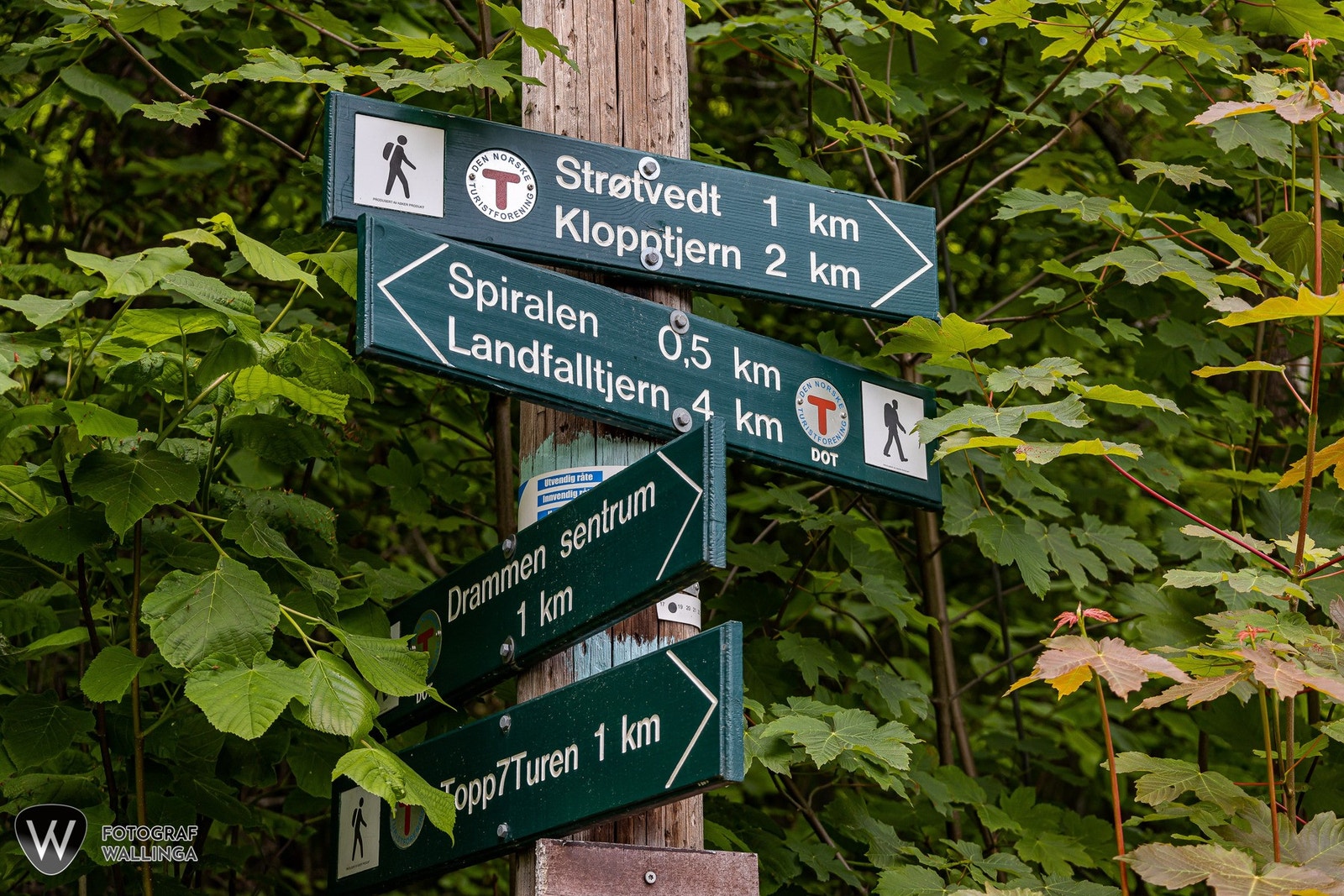 Skilt med turstier til Strøtvedt, Kloptjern, Spiralen, Landfalltjern, Drammen sentrum og Topp7Turen. Galleribilde