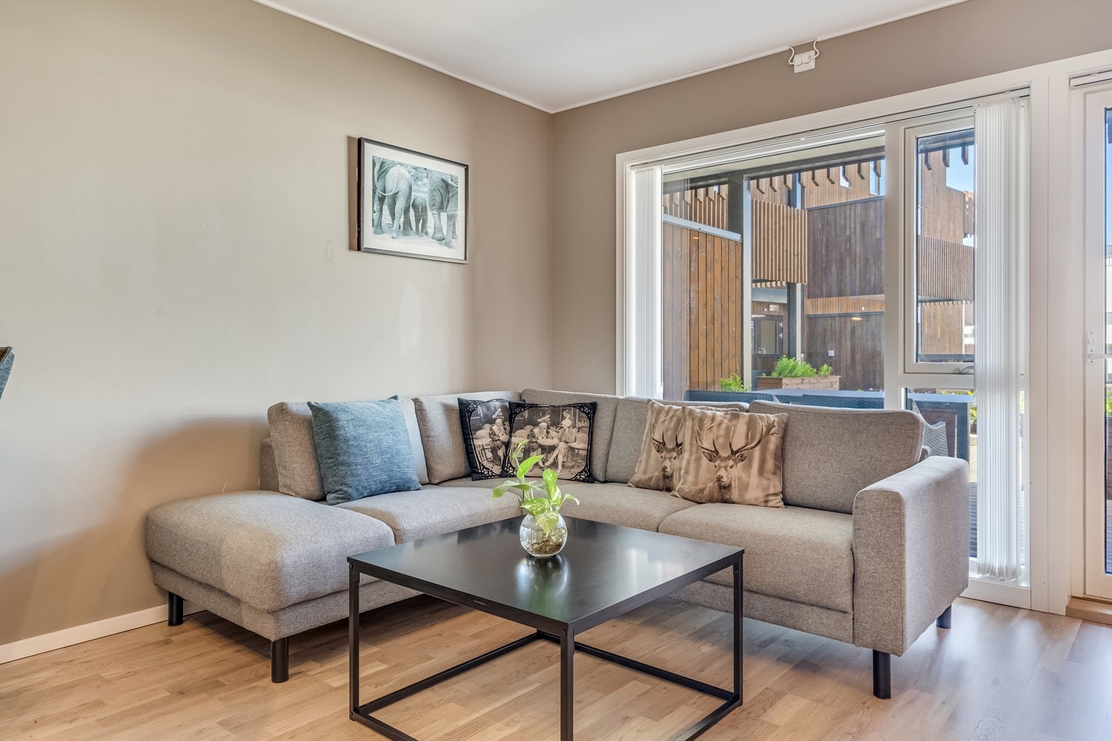 Store vinduer slipper inn rikelig med naturlig lys Galleribilde