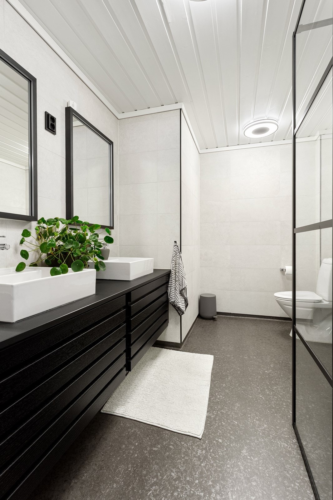 _MG_2184 Galleribilde