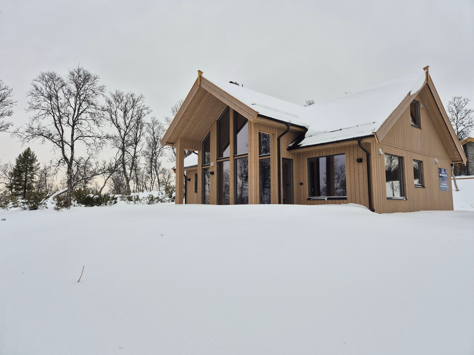 Solheim hundre i sola. Galleribilde