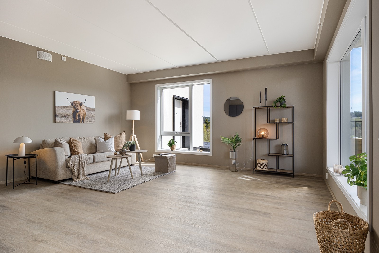 Store vinduer i to himmelretninger gir godt med lysinnslipp Galleribilde