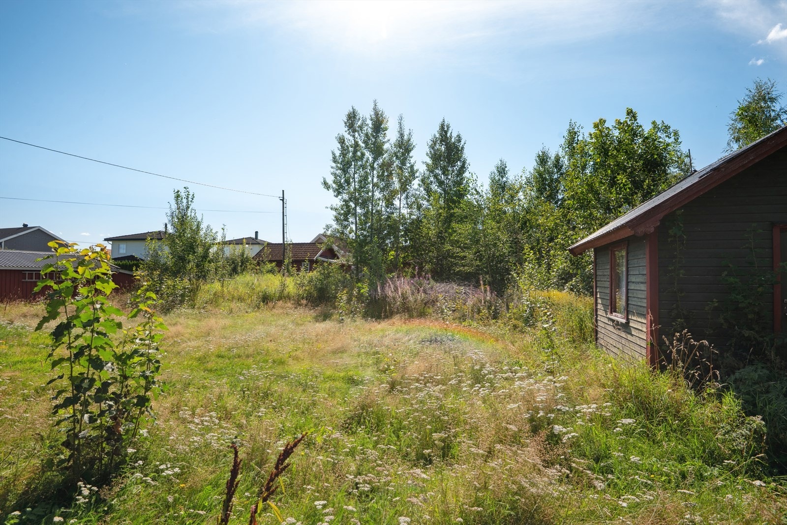 Flat og fin tomt. Galleribilde