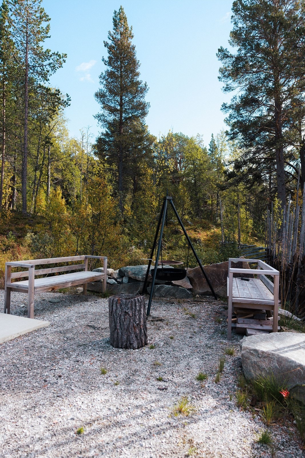 Nyt naturen fullt ut her. Galleribilde