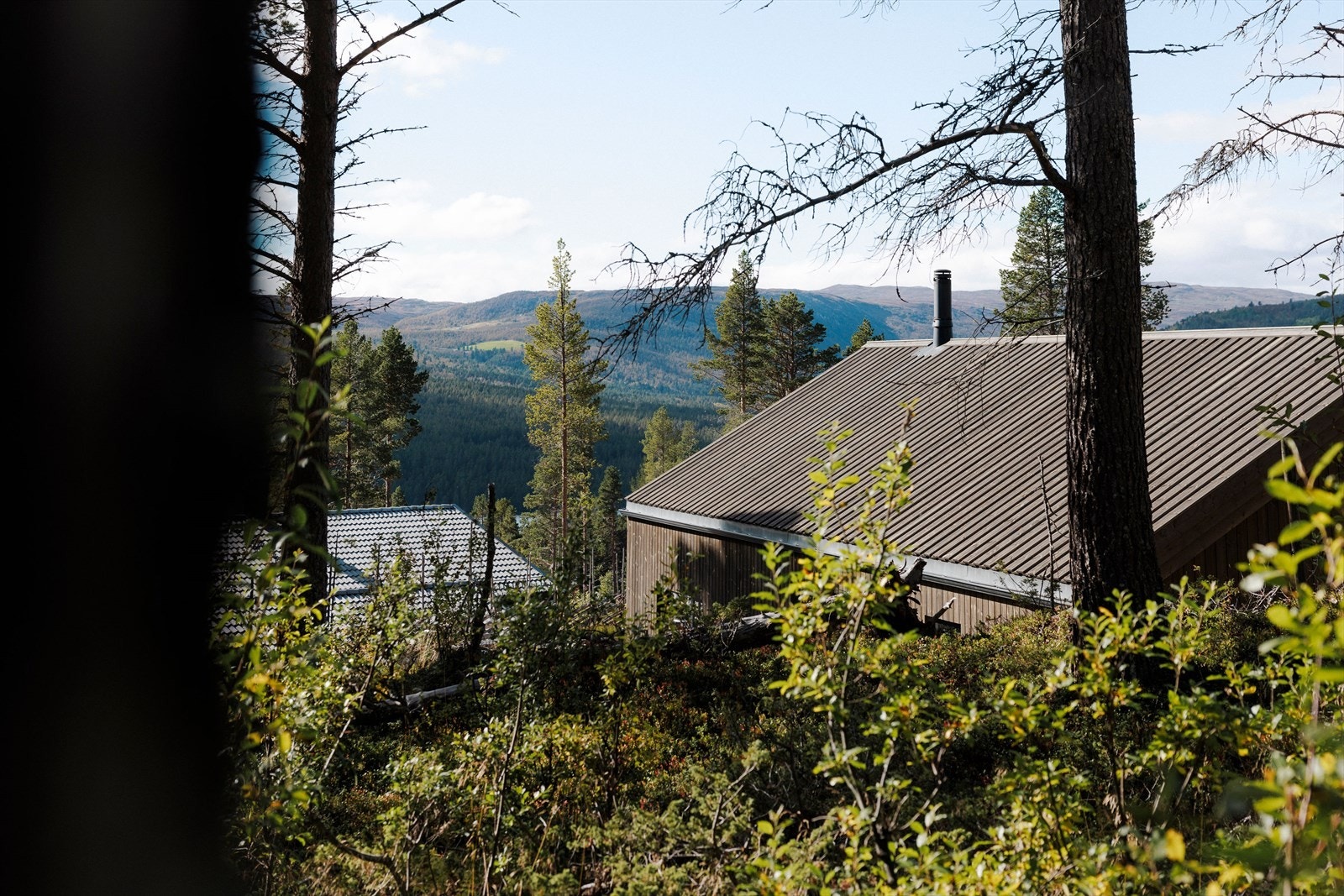 Her er det bare å finne frem skoene og traske i fjellheimen. Galleribilde