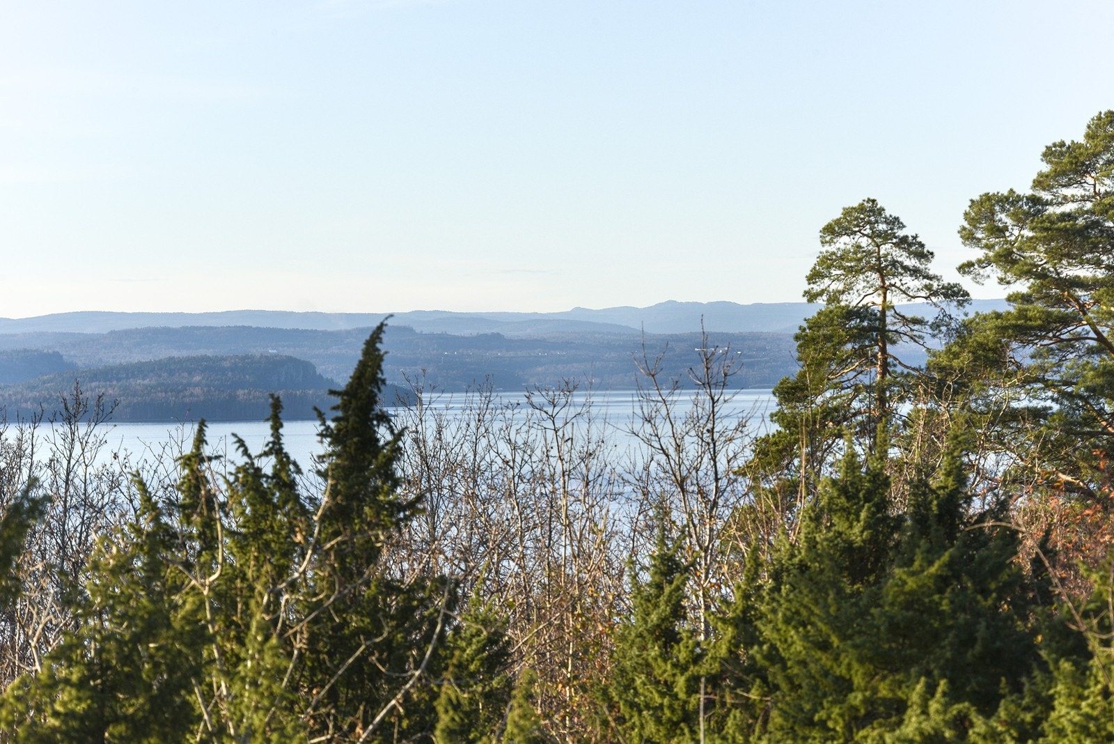 Utsikt fra veranda. Galleribilde