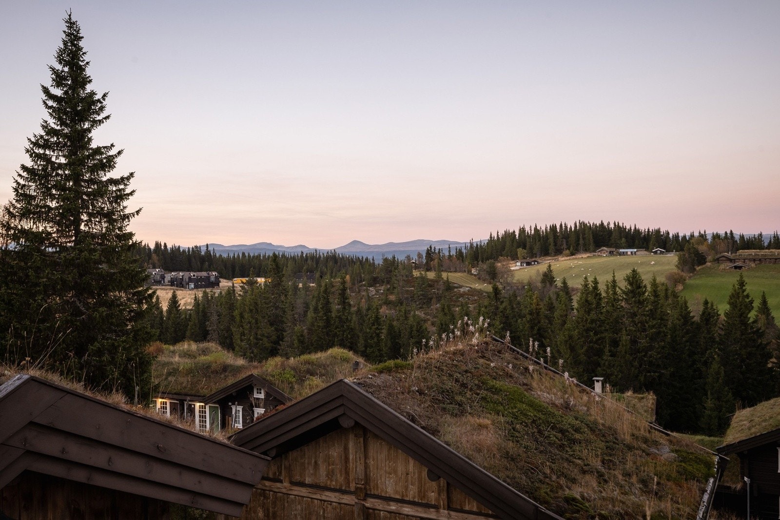 Fra hytta er det fantastisk utsikt.