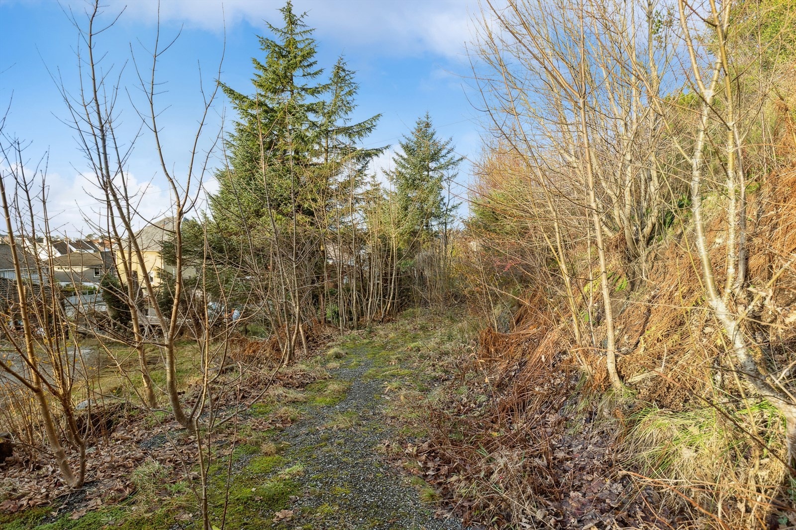 Eiendommen har tinglyst vegrett på gnr. 32, bnr. 105. Galleribilde