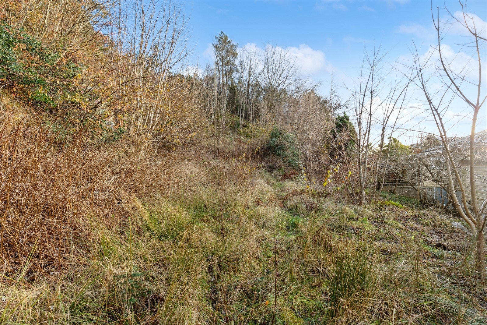 Tomten er ubebygd og det må påregnes kostnader i forbindelse med planering av tomten. Galleribilde