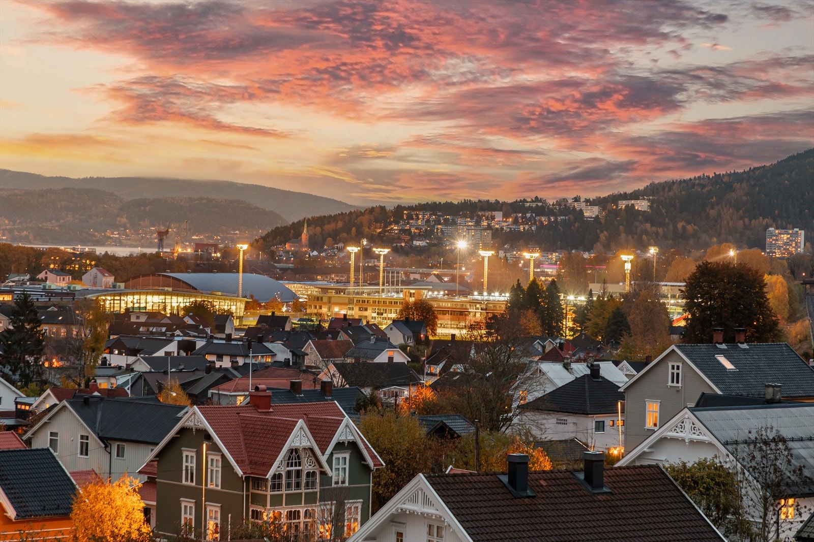 Utsikt mot Marienlyst, som ligger få minutter fra leiligheten Galleribilde