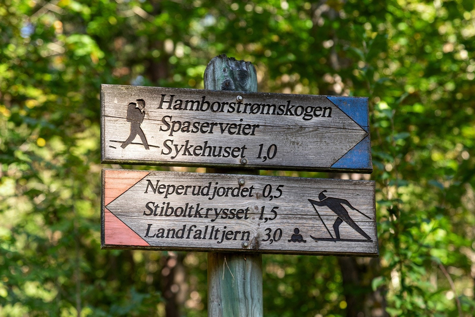 Umiddelbar nærhet til marka med flotte tur- og skimuligheter sommer som vinter Galleribilde