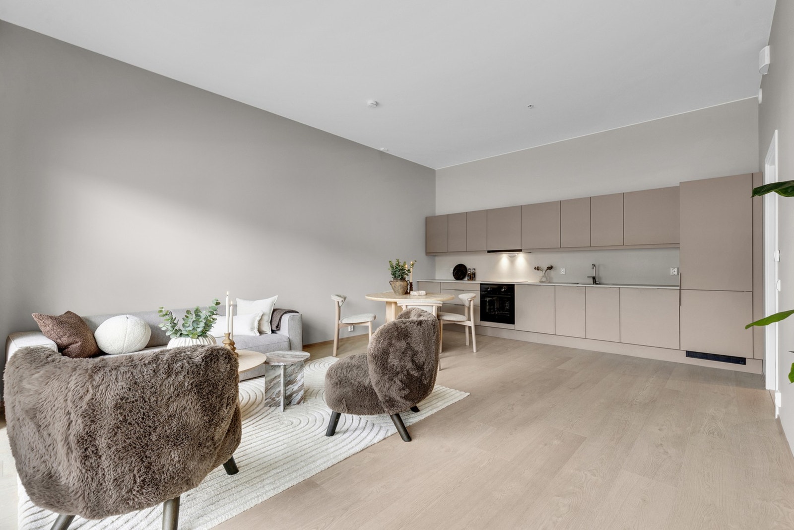 Arealeffektiv planløsning med en åpen stue- kjøkkenløsning Galleribilde