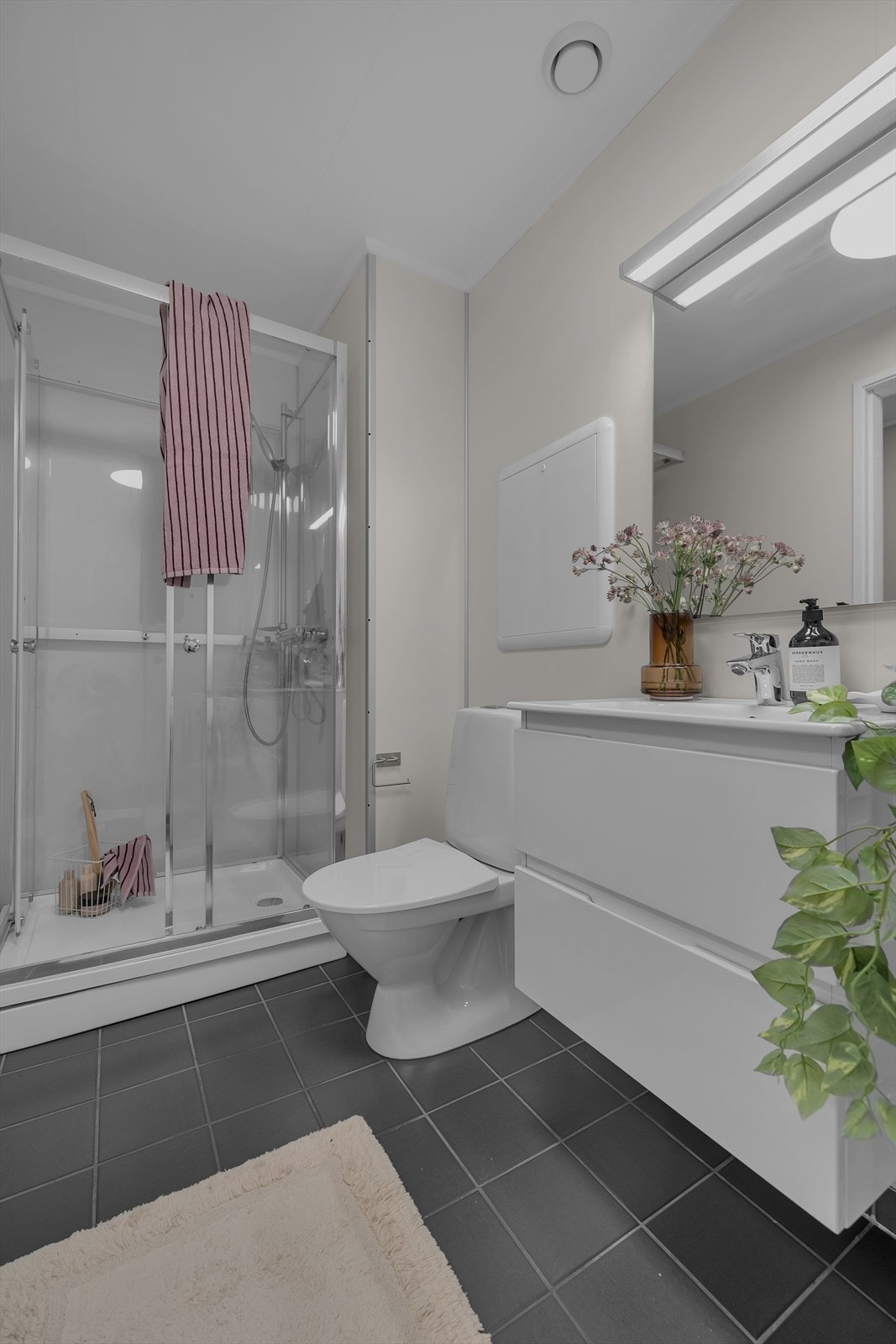 Nyere innredning og ny dusj Galleribilde