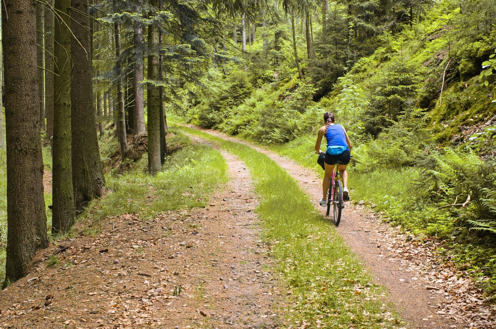 Herlige turmuligheter i nærområdet, både sommer og vinter. Fra Neselva Hageby er det kun en kort spasertur bort til jordene på naboeiendommen eller til Kjærlighetsstien som du kan følge videre opp til øvre Billingstad og inn i Vestmarka Galleribilde