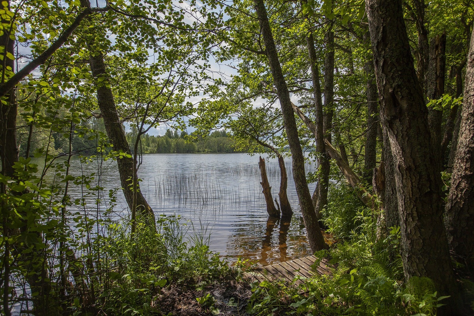 Hersjøen er en liten innsjø som grenser til hyttetomten. Galleribilde