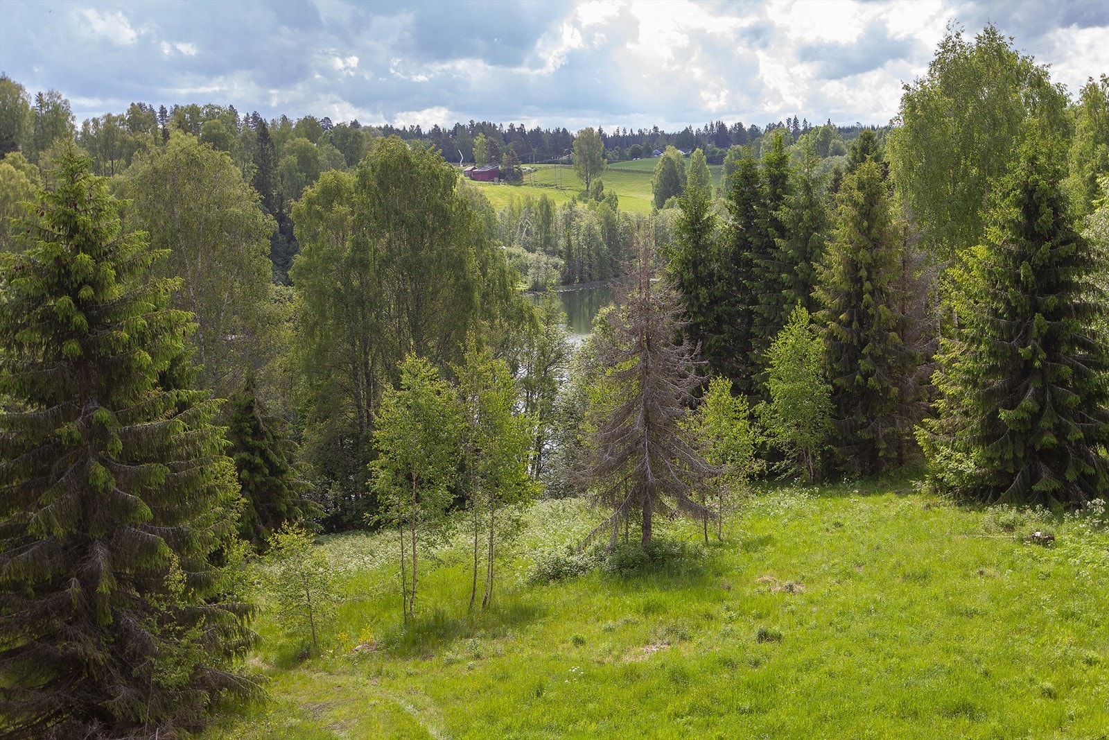 Omgivelser med nærliggende vann - Hersjøen. Galleribilde