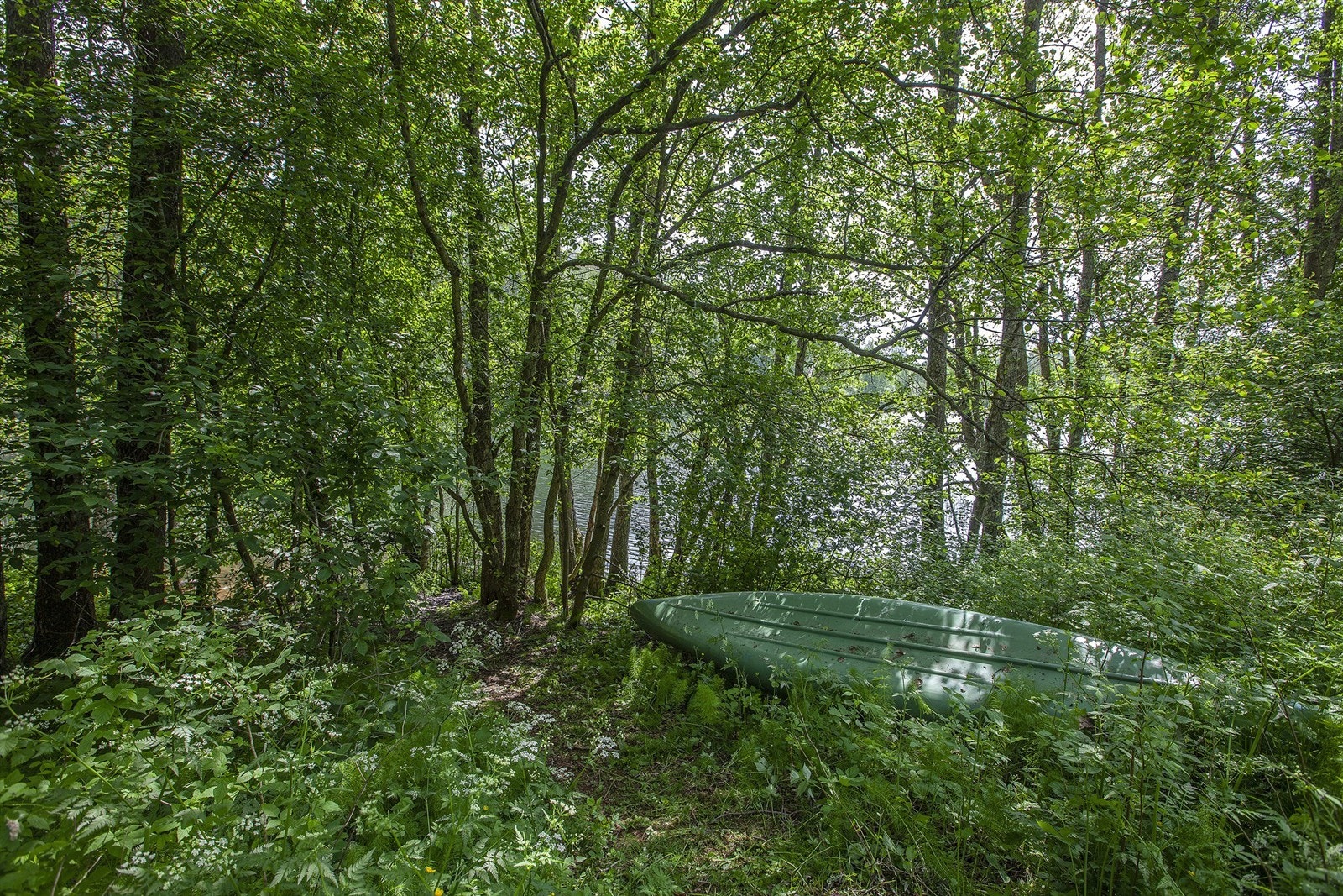 Hersjøen er en liten innsjø som grenser til hyttetomten. Galleribilde