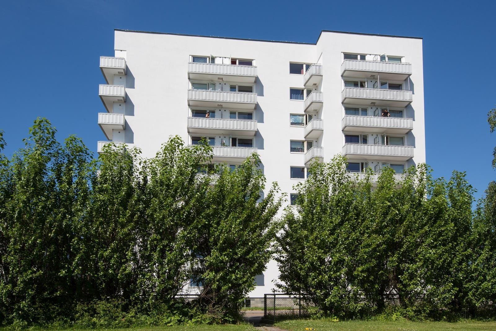 Gård 4 Galleribilde