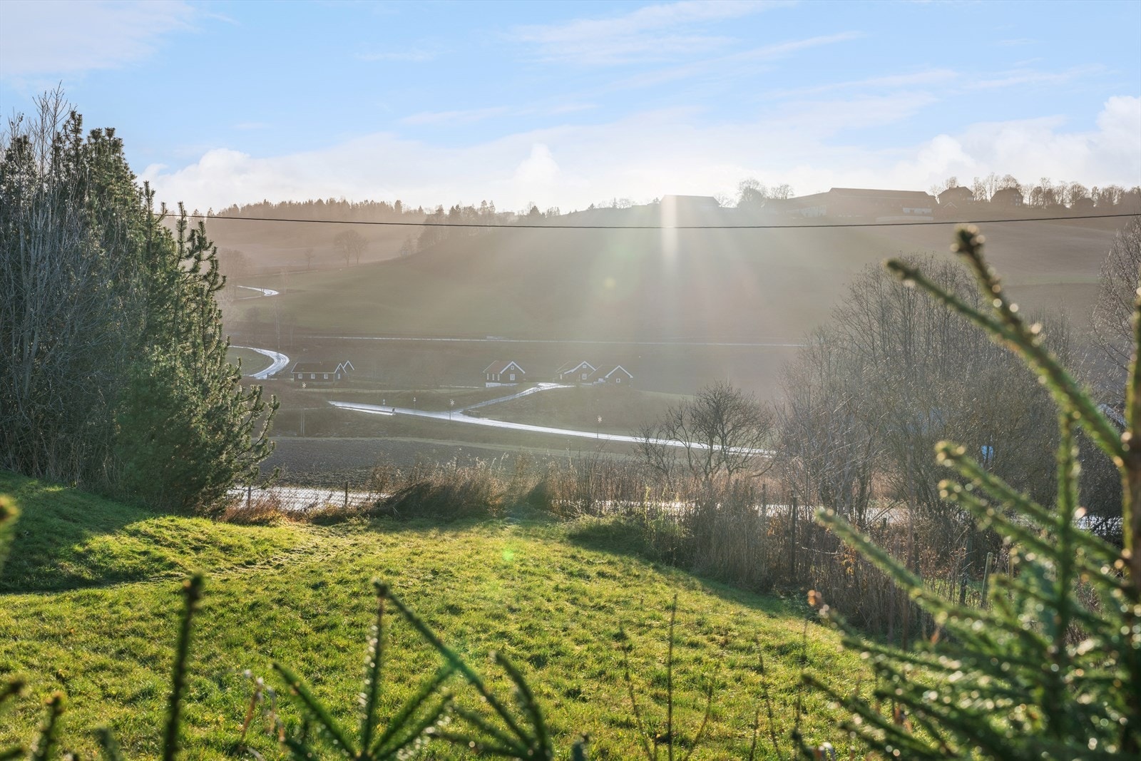 Landlig utsikt fra eiendommen. Galleribilde