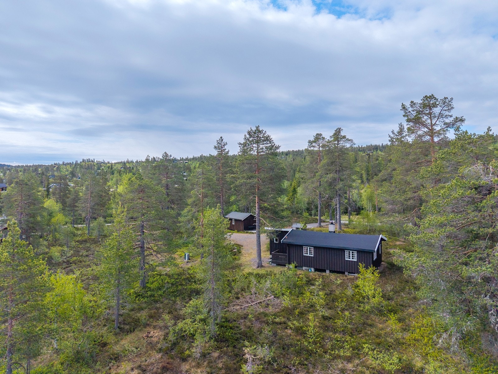 Ski- og turløyper i umiddelbar nærhet Galleribilde