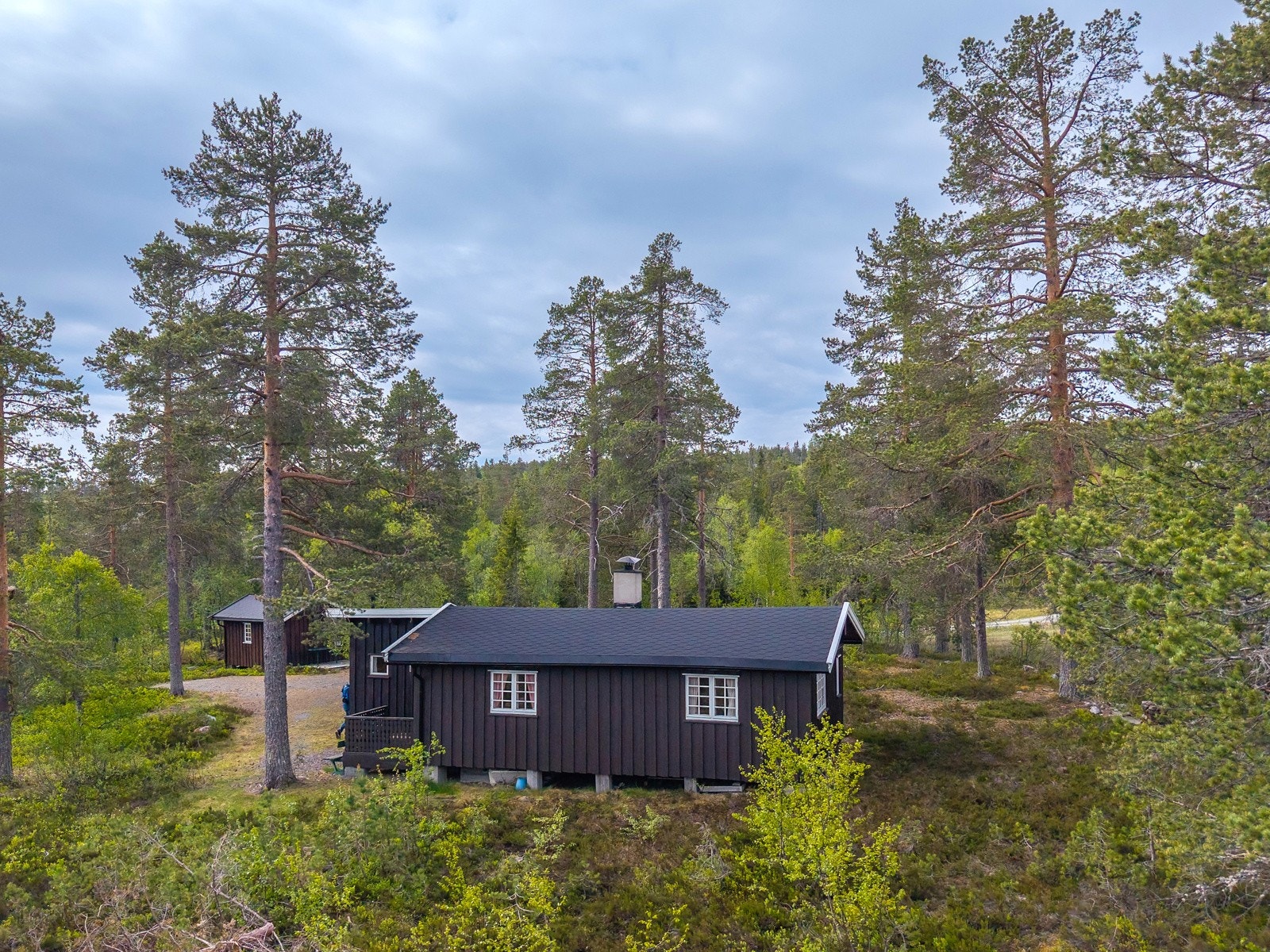 Velkommen til en hyggelig visning! Galleribilde