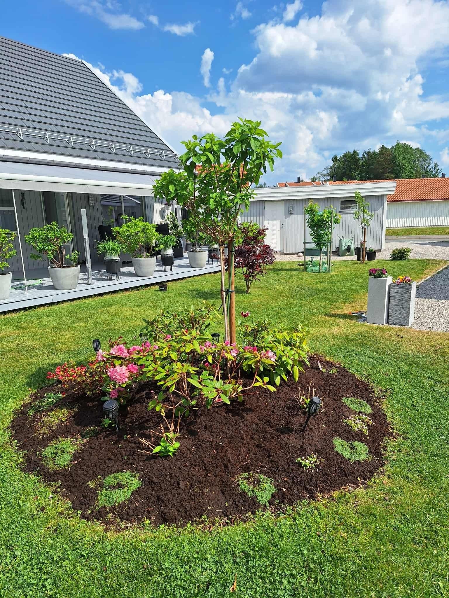 Nydelige bedd, plenen klippes av robot Galleribilde