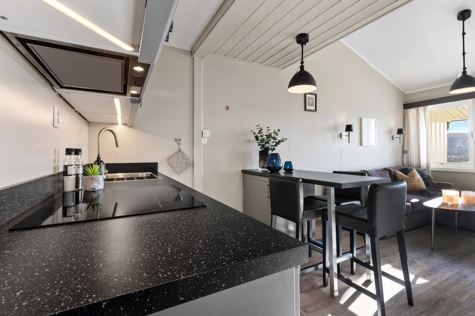 Leiligheten er liten og kompakt men rommer allikevel hele familien. Galleribilde