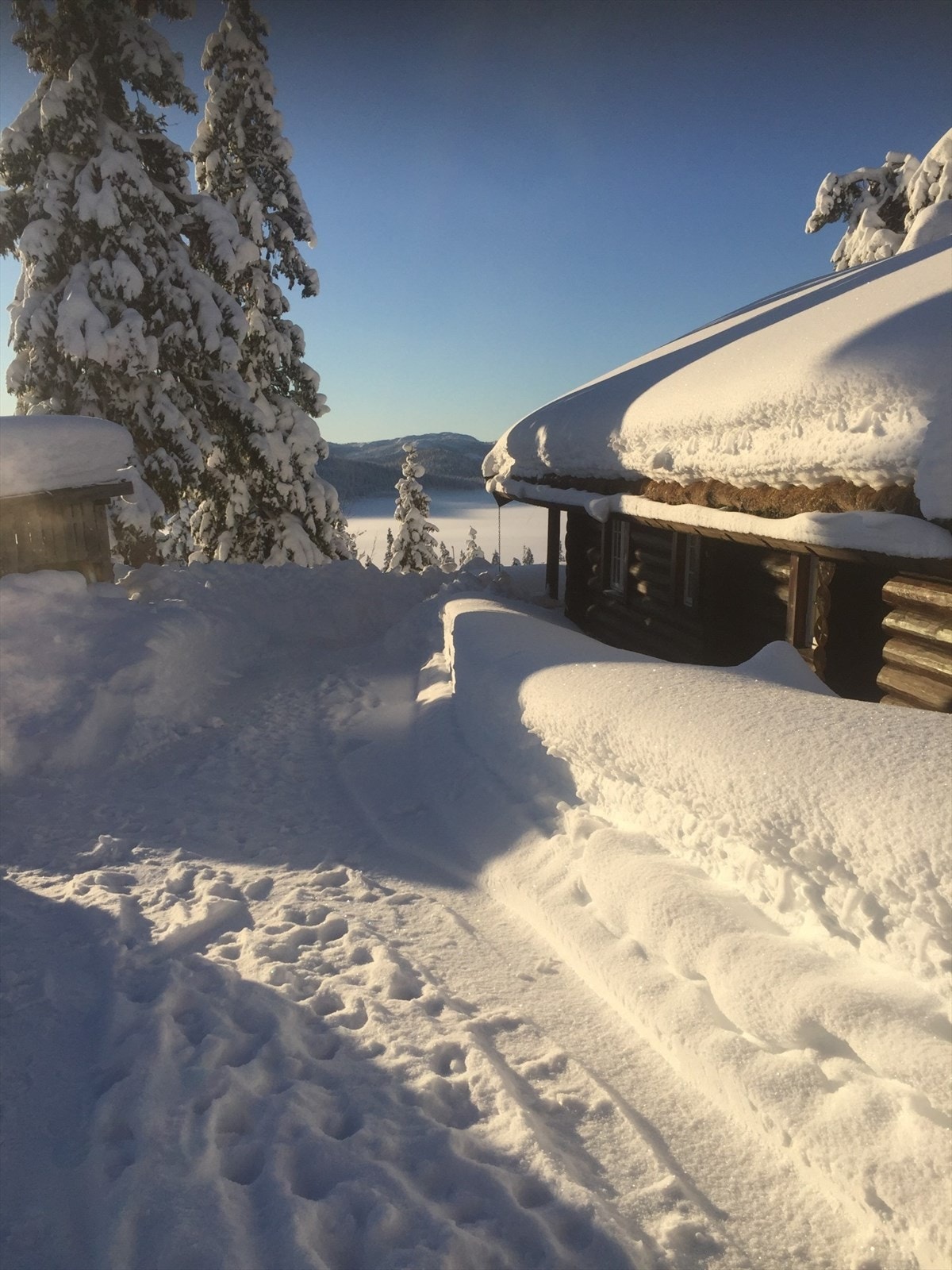 Selgers private vinterbilde Galleribilde