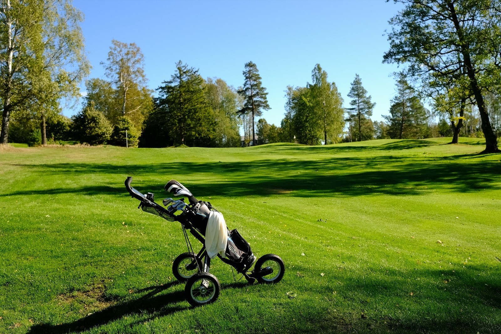 For den golfinteresserte, er det kun ca. 5 minutter med bil til Vestfold Golf Club med 18 hulls golfbane Galleribilde