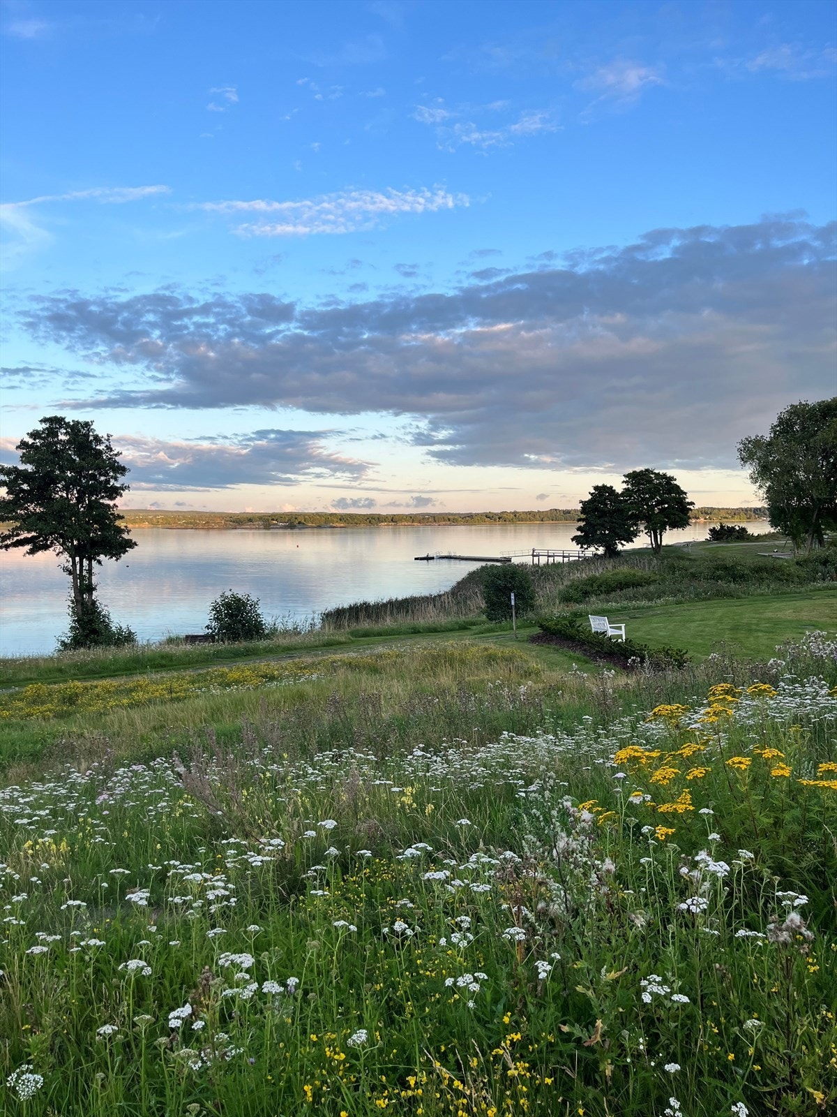 Selgers private bilde Galleribilde