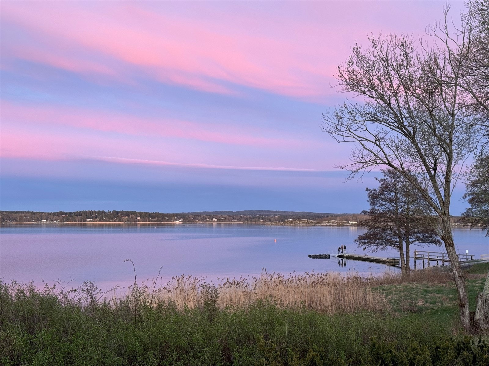 Selgers private bilde Galleribilde