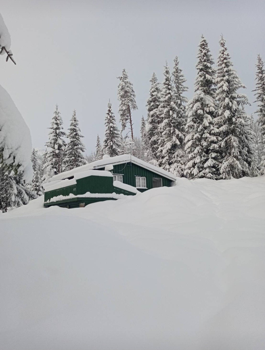 Selgers private vinterbilde Galleribilde