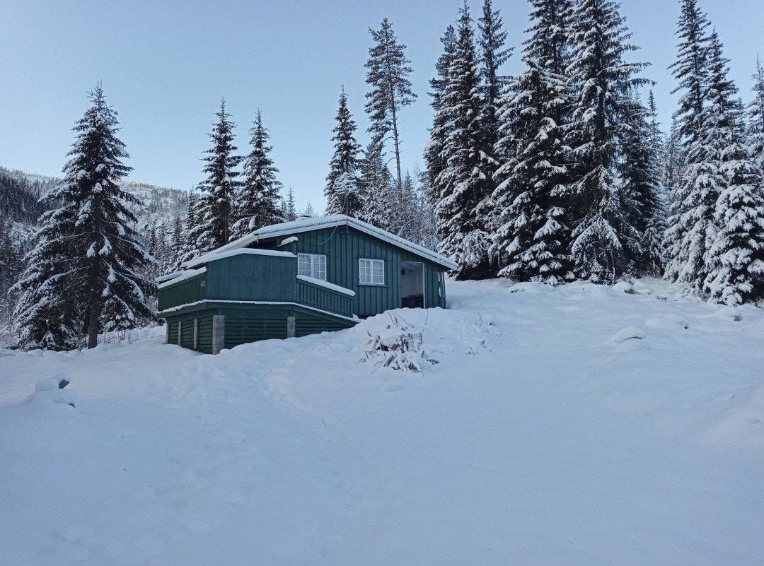 Selgers private bilde Galleribilde