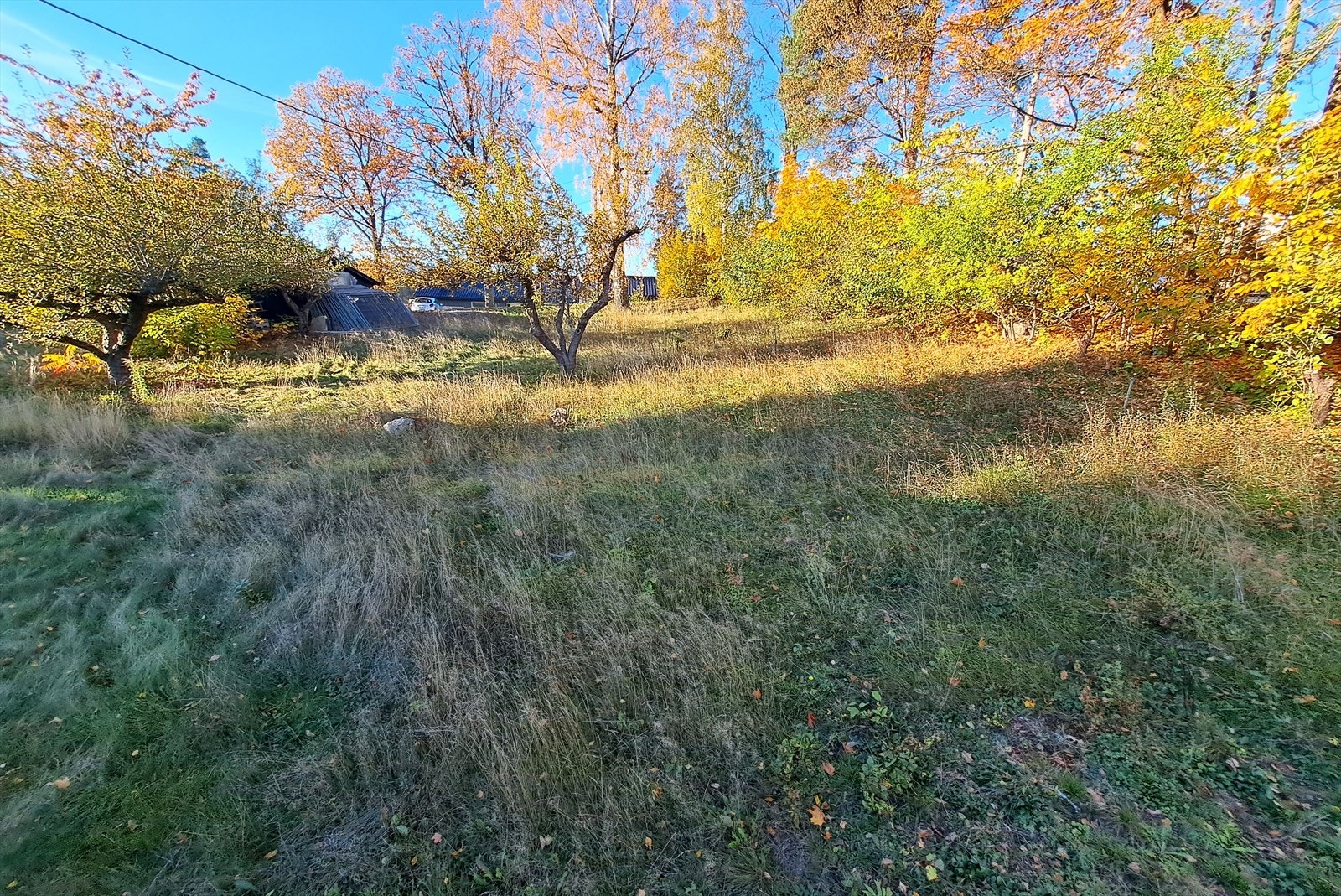 Tomten er flat og hele arealet kan utnyttes Galleribilde