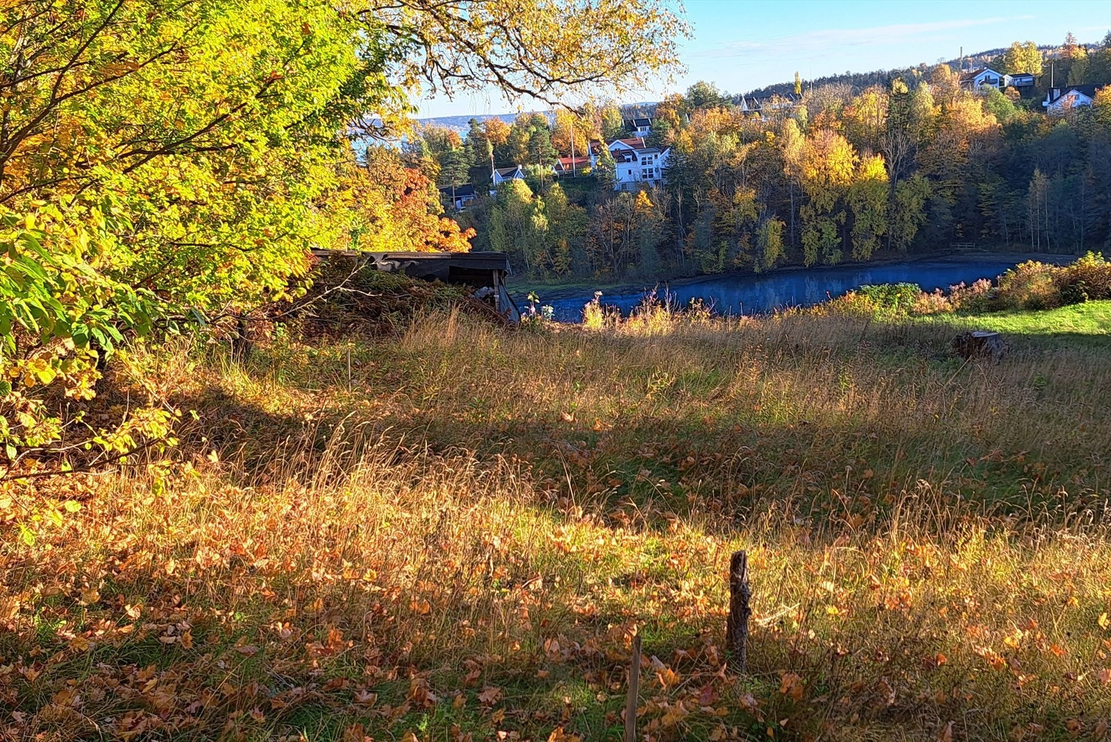 Utsikt fra tomten mot Sjøvollbukta Galleribilde