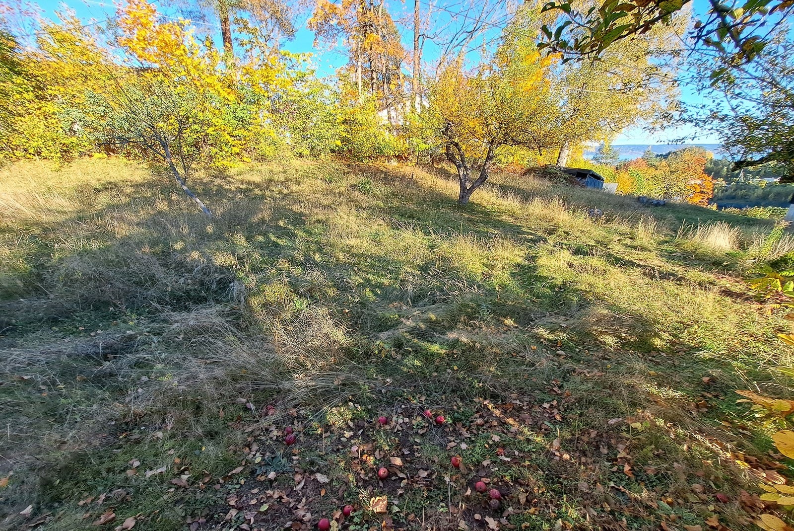 Ettermiddagssol helt til solnedgang Galleribilde