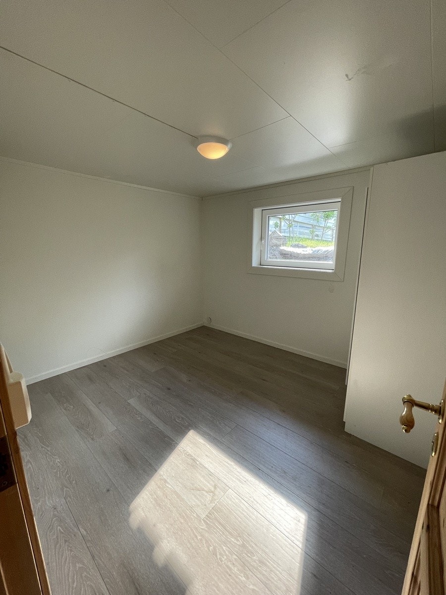 Rom kjeller Galleribilde