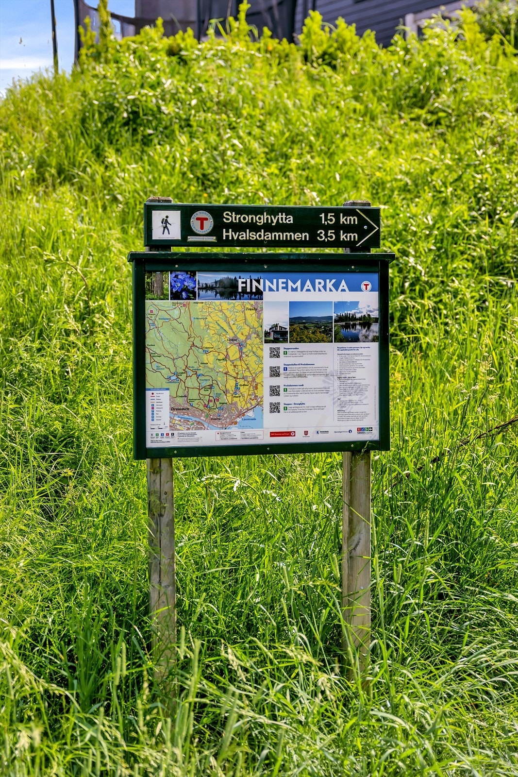 Flotte turområder i marka i bakkant med lysløyper og skispor Galleribilde