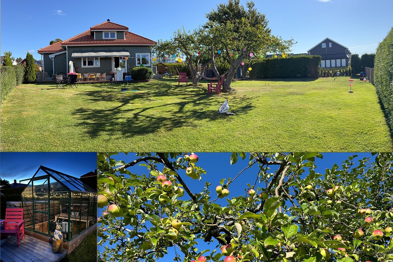 Selgers private bilder. Galleribilde