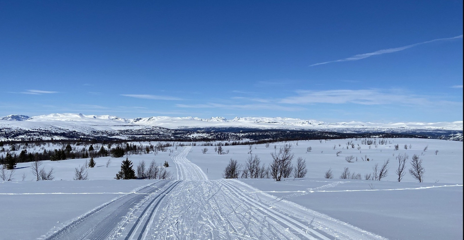 På vinterstid kan Vaset by på ca. 150 km løypenett med både lette og litt mer krevende traseer. http://www.vasetloypene.no/ Galleribilde