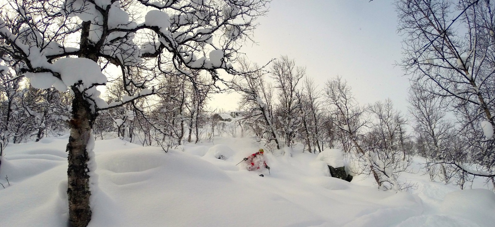 Myke svinger i løs puddersnø, mens adrenalinet suser gjennom kroppen Galleribilde