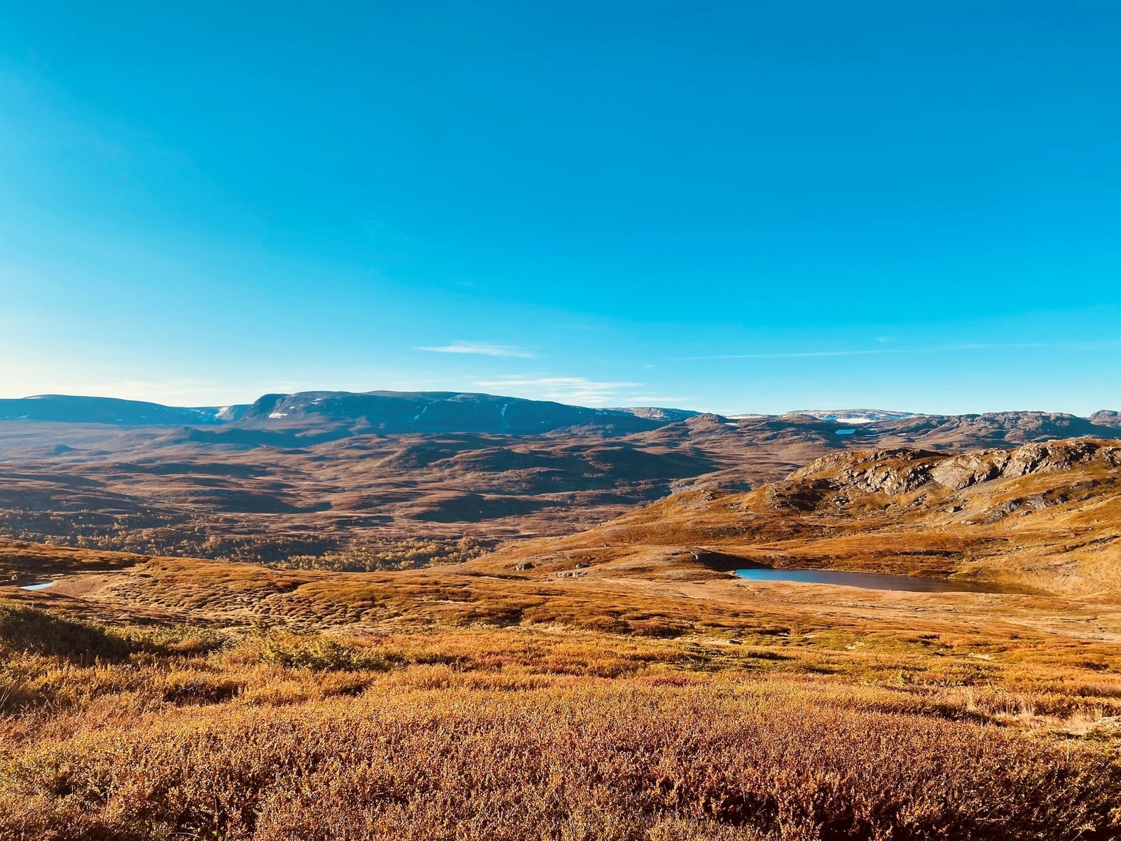 Høyfjellet blir rent magisk på sensommeren Galleribilde